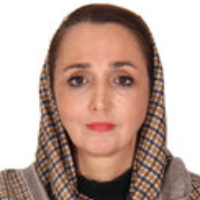 Hamideh Akbari speaker at 2nd International Conference on Pediatrics & Neonatology